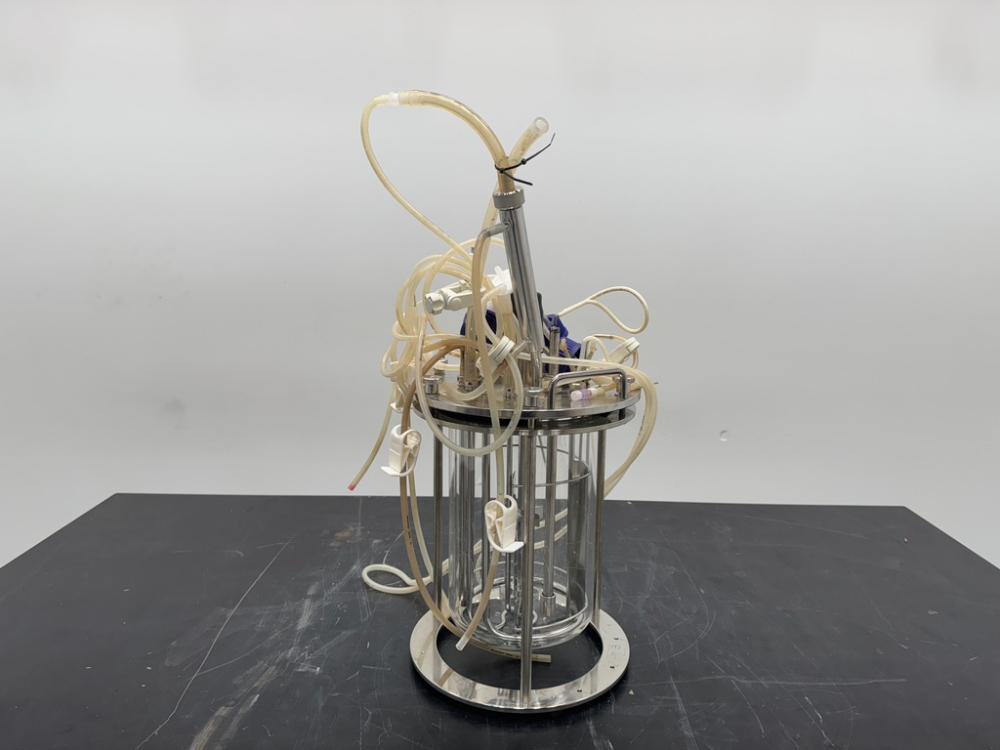 Image of glass bioreactor vessel